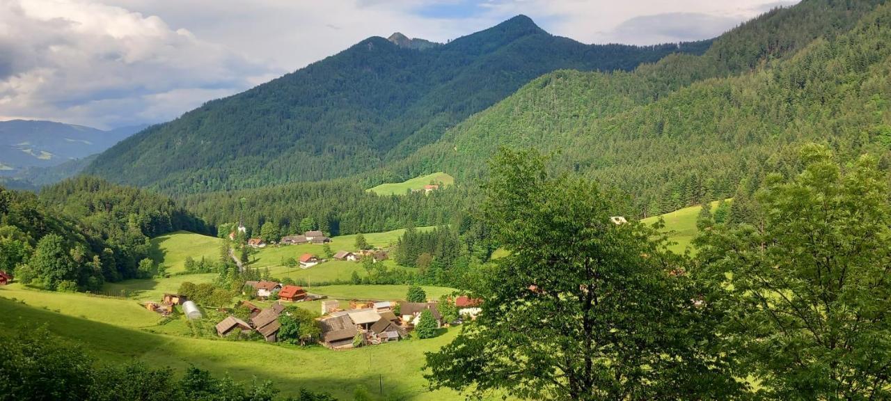 Pocitniska Hiska Lastovka Podvolovljek ภายนอก รูปภาพ